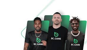 Experience Endless Excitement with BC Fun Experience Endless Excitement with BC Fun
