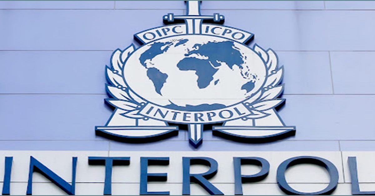 Understanding Legal Protections Against Interpol Errors 376061860